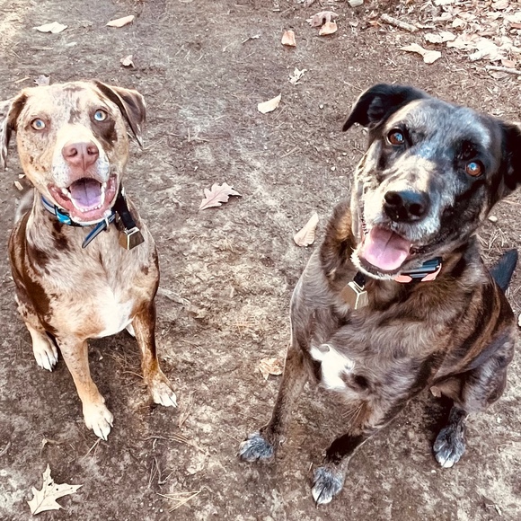 Meet your Posher, Lauren - Picture 1 of 1